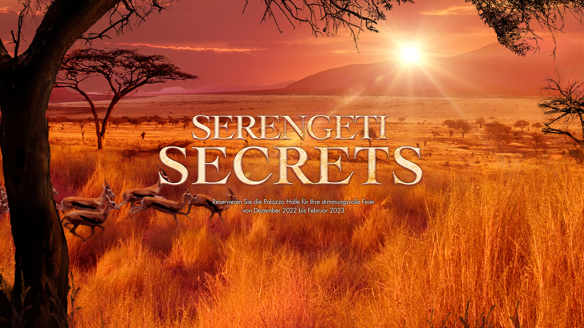 Serengeti_Secrets_Blog-Titelbild