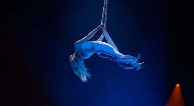 Dinnershow_Blog-Bilderbox_06