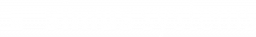 simus systems LOGO_WEISS